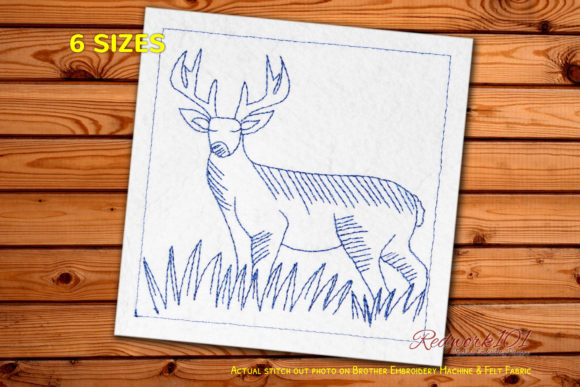 Beautiful Deer Standing on the Grass