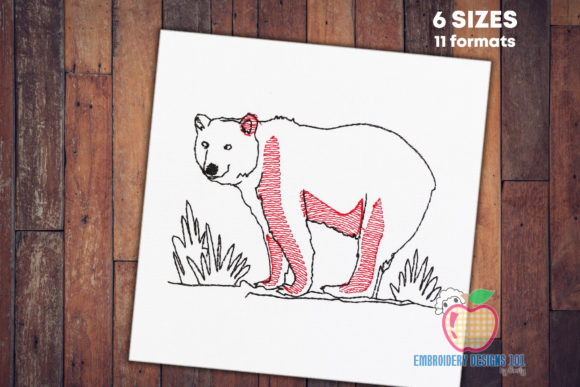 Big Male Bear Walking in the Jungle