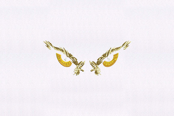 Determined Owl Eyes Design