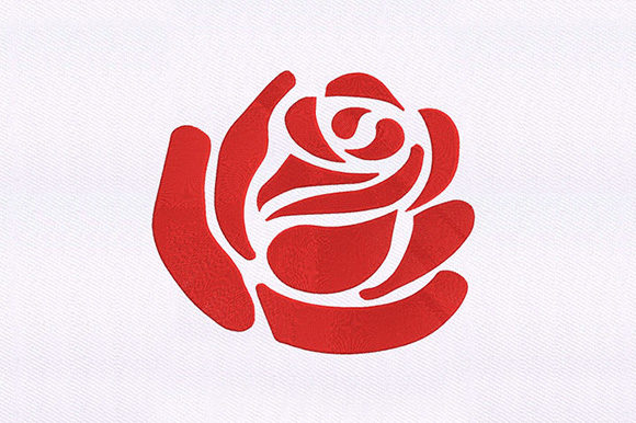 Silhouetted Rose Petal