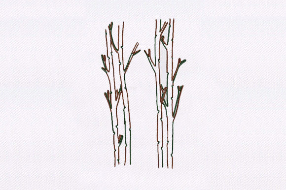 Tree Without Leaf